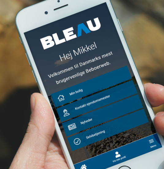 Bleau Billede 1