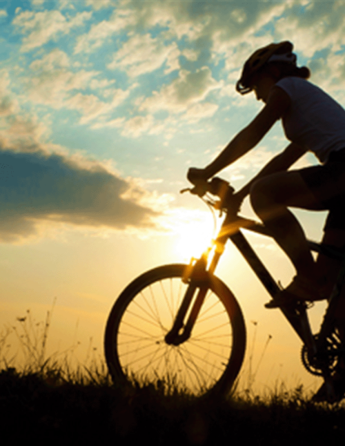 generic silhouette cyclist motion sunset SL1