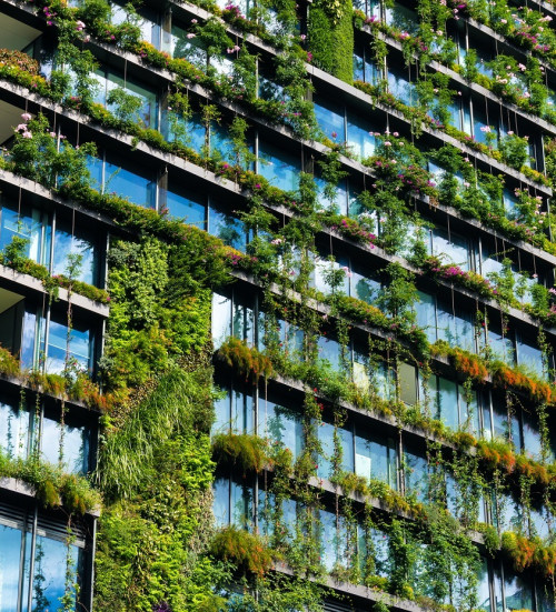 green skyscraper building plants growing