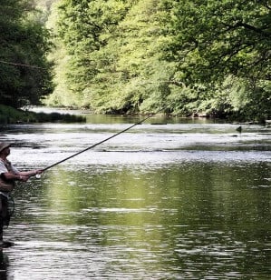 fisherman