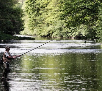 fisherman