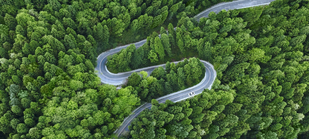 aerial view road forest
