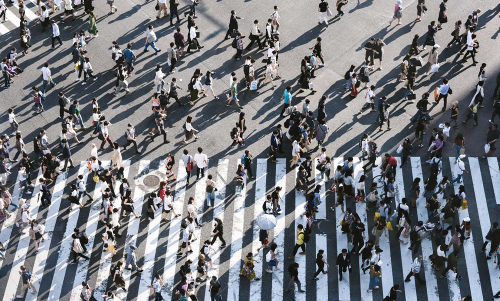 pedestrians road crossing walking ML1
