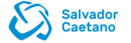Salvador Caetano Group