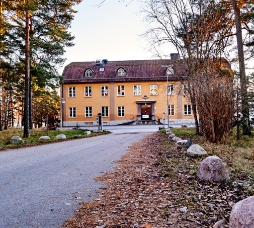 Kreavita