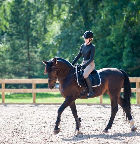 horse riding