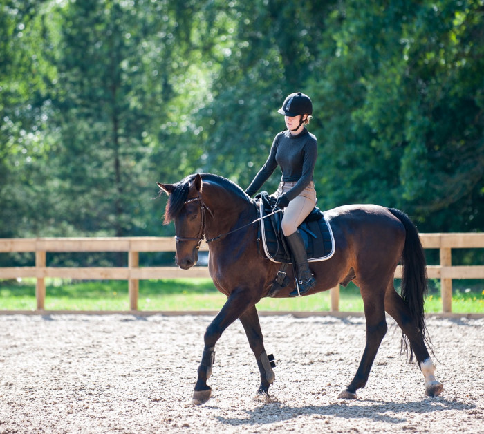 horse riding