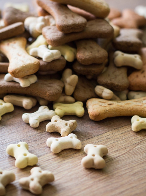 pet food image
