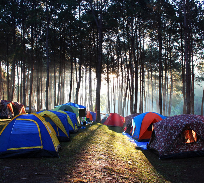 sunbeam morning around camping site