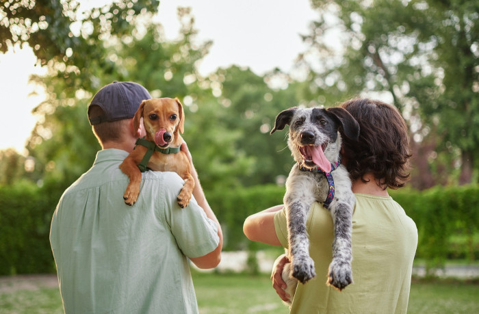 man embracing his dog