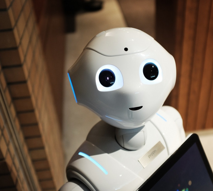 Robot AI Mavera