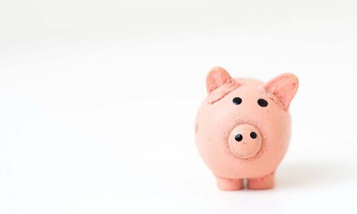 Financial Services piggy bank