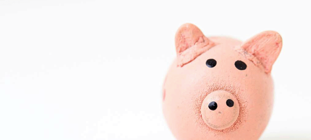 financial services pig SL3
