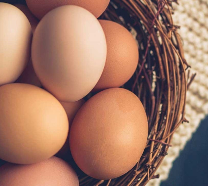 Eggs