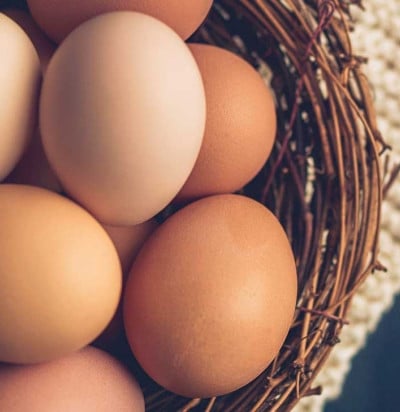Eggs