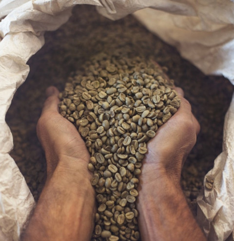 food consumer coffee beans
