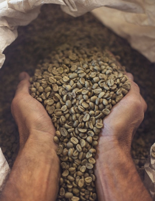 food consumer coffee beans