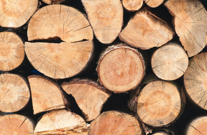 cross section arranged timber brown wood