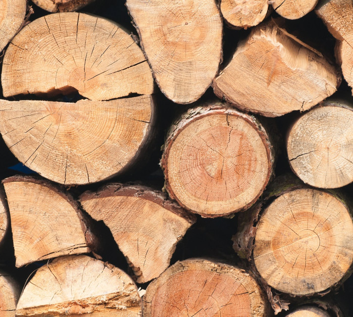 timber trading