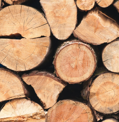 timber trading