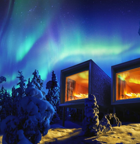 Arctic Treehouse Hotel picture