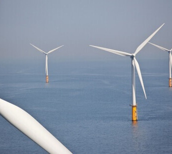 Cobra energy sea