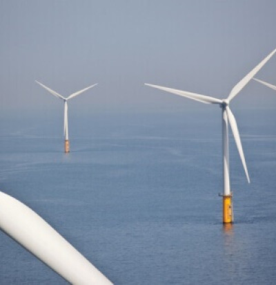 Cobra energy sea