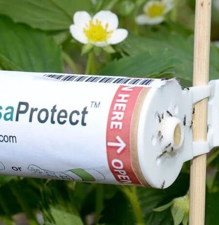 Viridaxis protect