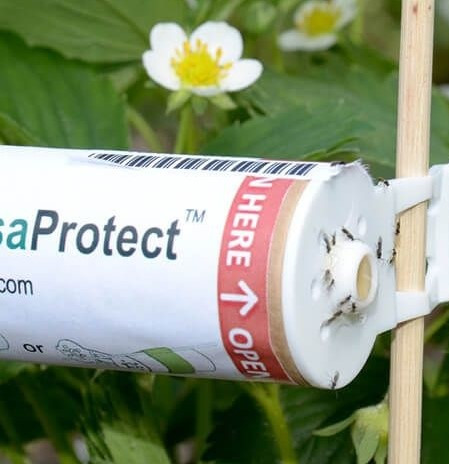 Viridaxis protect