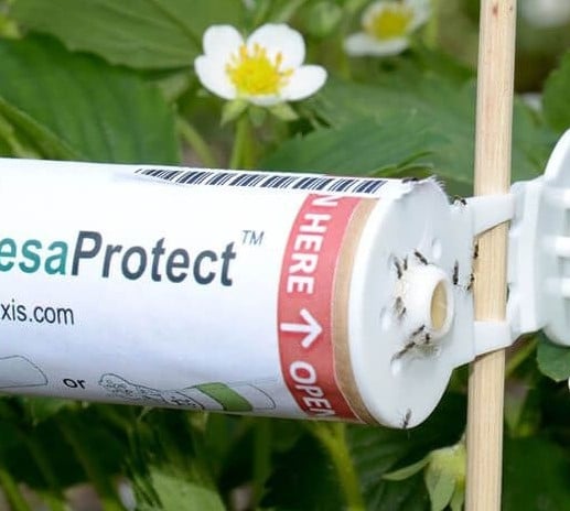 Viridaxis protect