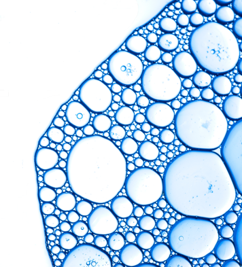 molecule L2M