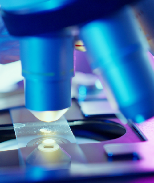 sample lab L2S