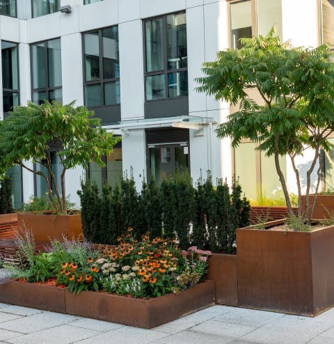Commercial landscape gardening