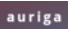 Auriga Partners