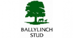 c261a0a1d28f9e9081191d08eca53f93 BallylinchStud 181114 183458